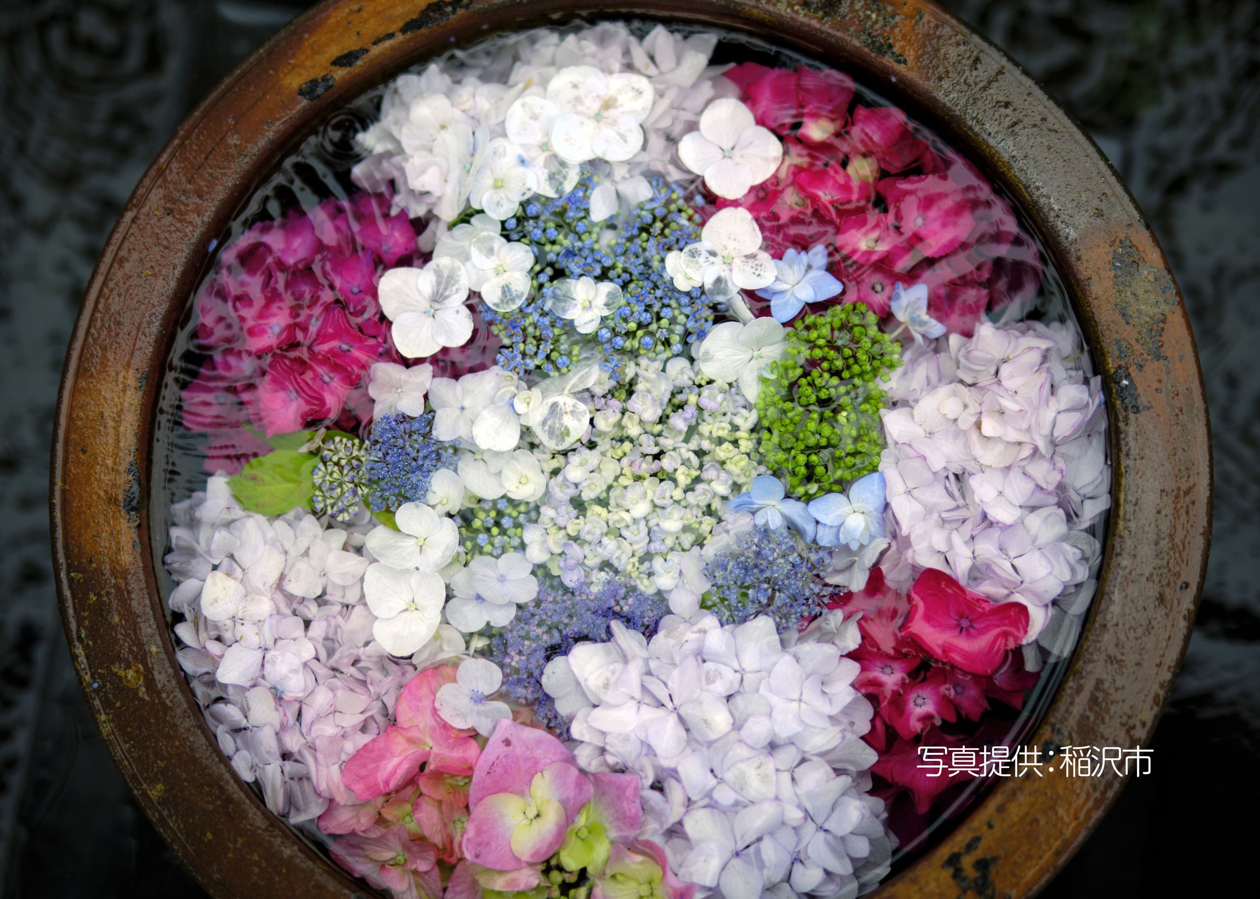 pic9.jpg
